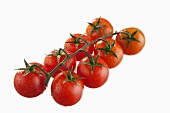Cherry tomatoes with drops of water
