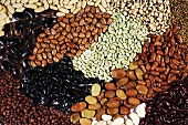 Many different types of beans (full-frame)