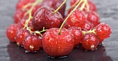 Cherries and redcurrants with drops of water