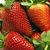 Frische Erdbeeren, bildfüllend