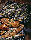 Sardinen mit Salsa Verde und verschiedene gebratene Fische