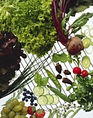Stillleben mit Gemüse, Salat, Kräutern & Obst