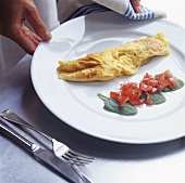 Omelette with tomato salad