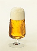 A glass of pils