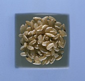 Long-grain brown rice