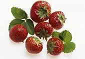 Mehrere Erdbeeren vor weißem Hintergrund