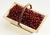 Fresh cranberries in a wooden basket