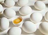 Viele rohe weiße Eier, eines davon aufgeschlagen