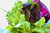 A mixed leaf salad with chives