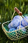 Blue Easter eggs in wire basket