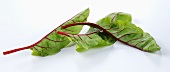 Beetroot leaves