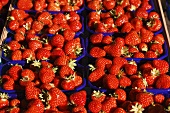 Erdbeeren in Plastikschalen auf dem Markt