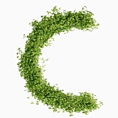 The letter C in cress