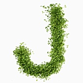The letter J in cress
