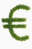 Euro sign in cress