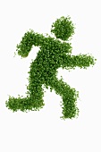 Running man (symbol for an emergency exit) in cress