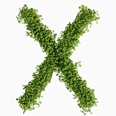 The letter X in cress