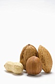 Peanut, walnut, hazelnut, almond