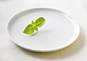 Basil leaves on a plate