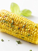 Grilled corn on the cob with herbs