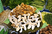 Chanterelles and ceps on a stall