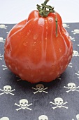 Tomato on a patterned background (skulls and crossbones)