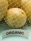 Organic potatoes in a net bag (close-up)