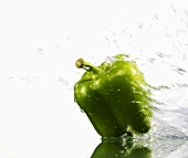 Green pepper with splashing water