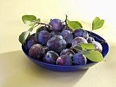 Plums in blue dish