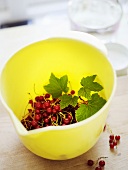 Redcurrants with leaves in plastic jug