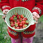 Girl holding strawberries in plastic strainer