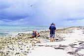 Father and son on the beach