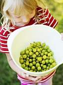 Girl holding bowl of gooseberries