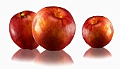 Three nectarines with reflection