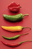 Various chillies