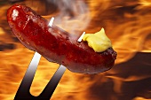 Grilled sausage with mustard on meat fork