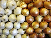 White and Yellow Onions at Market