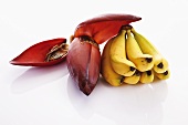Bananen und Bananenblüte