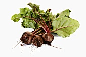 Several beetroots