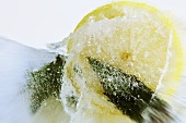 Lemon in block of ice (close-up)