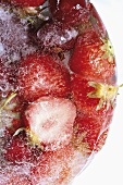 Red fruit (strawberries, cherries) in block of ice
