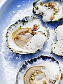 Oysters