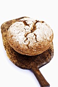 Wholemeal bread on peel