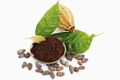 Cocoa powder with beans and leaves, close-up