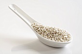 A spoonful of sorghum