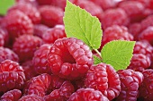 Fresh raspberries with leaf (close-up)