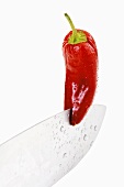 Red chilli on knife blade