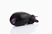 Black Mini-Aubergine, close-up