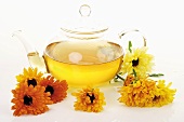 Marigold tea in glass teapot surrounded by marigolds
