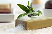 Bar of soap with herbal leaf